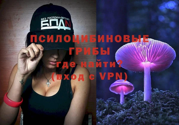 хмурый Надым