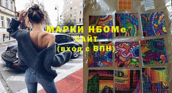 хмурый Надым