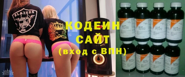 хмурый Надым